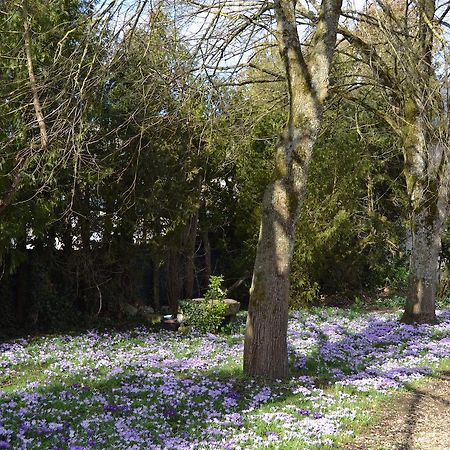 Domaine De Benveau Brecy  Bagian luar foto