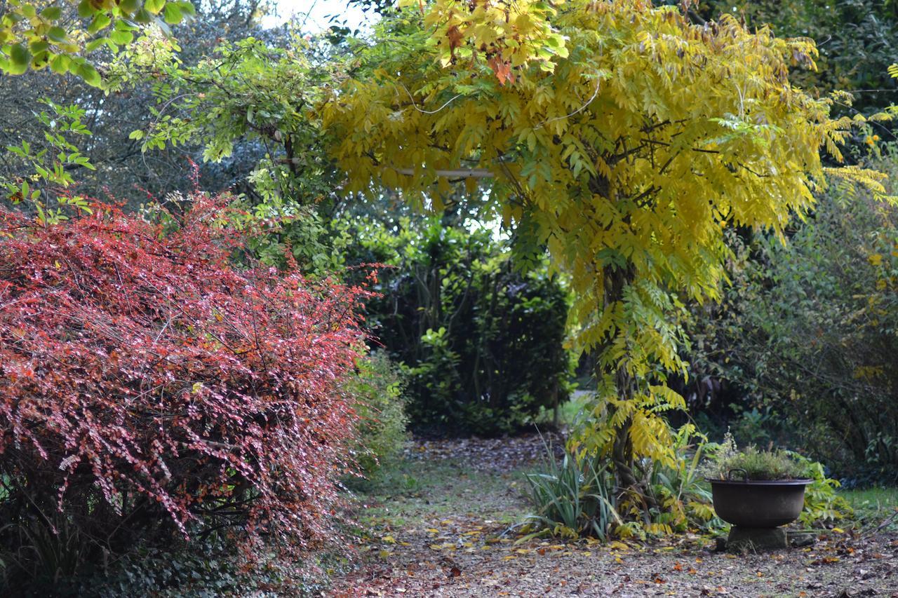 Domaine De Benveau Brecy  Bagian luar foto