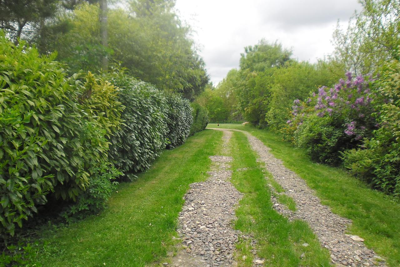 Domaine De Benveau Brecy  Bagian luar foto